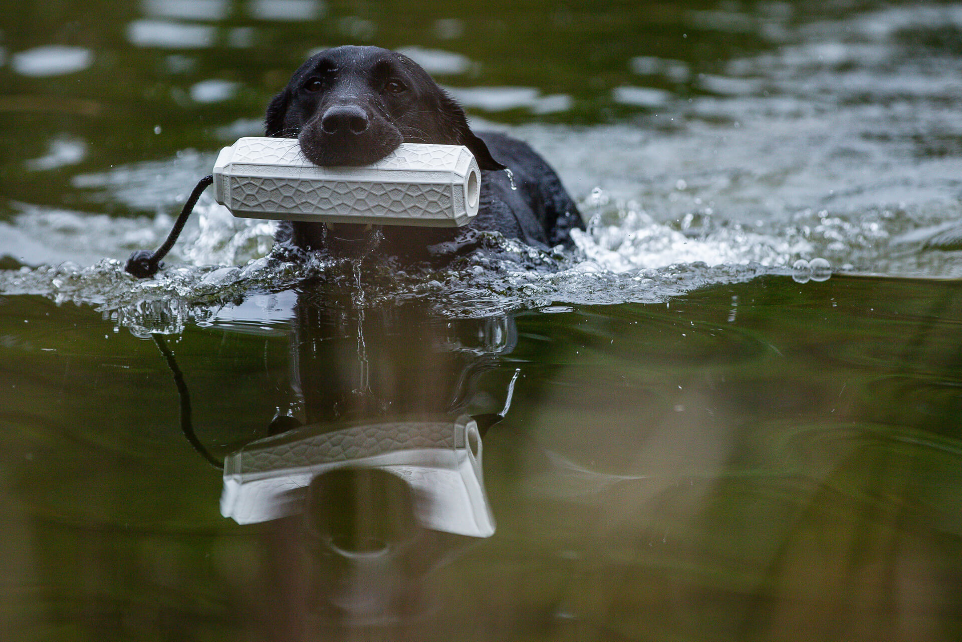 BI_Gallery_1920x1282