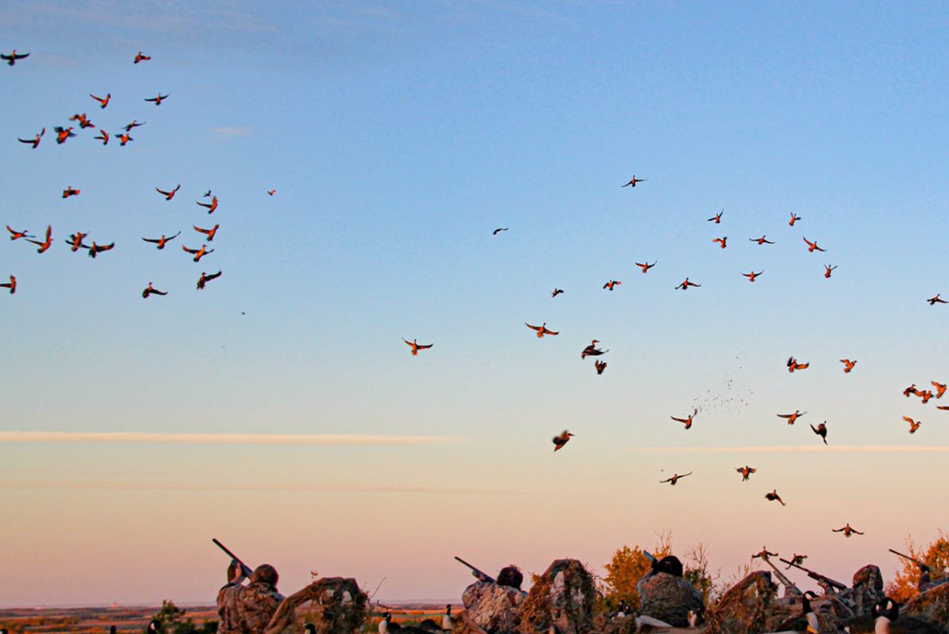 BI_Vendor_QuailHunting_1920x1282