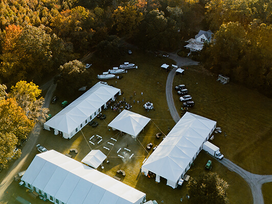 3Dogs_BraysIsland-001_534x400 copy