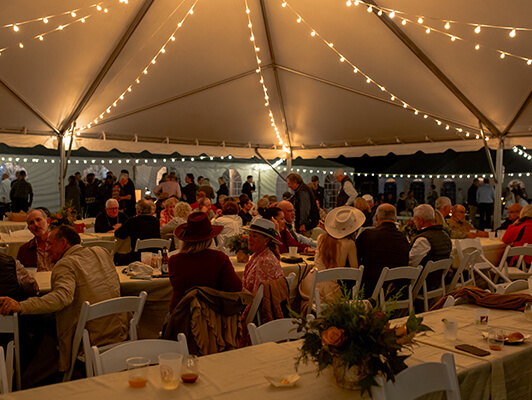 3Dogs_BraysIsland-004_534x400 copy