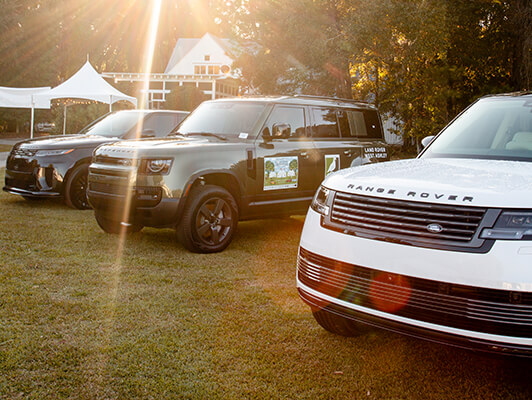 3Dogs_BraysIsland-023_534x400 copy