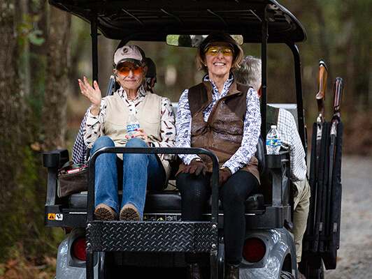 3Dogs_BraysIsland-054_534x400 copy