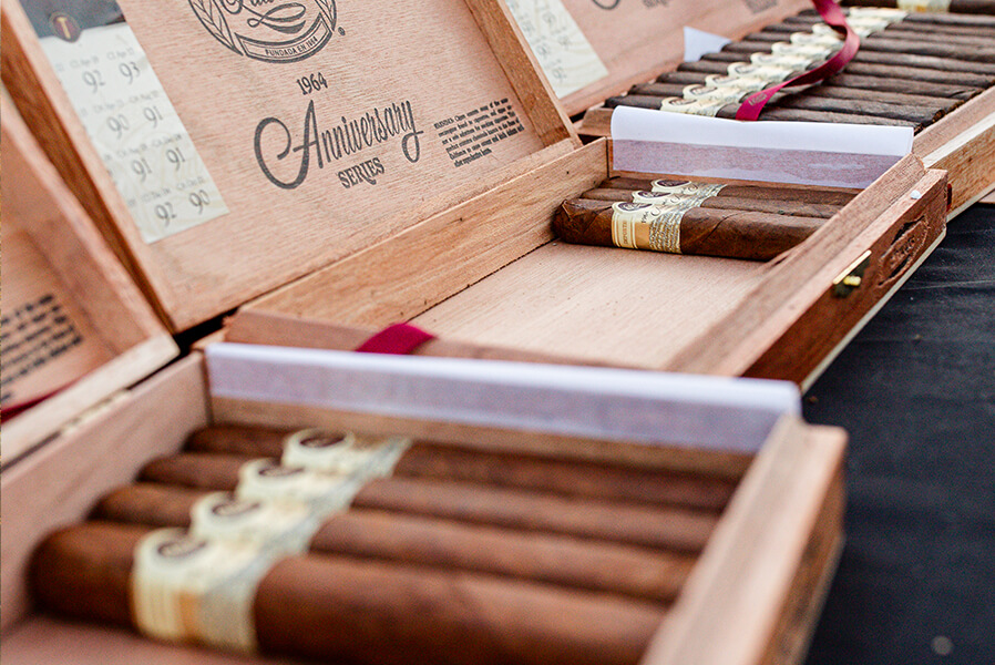 3Dogs_BraysIsland_2025_019_868x600