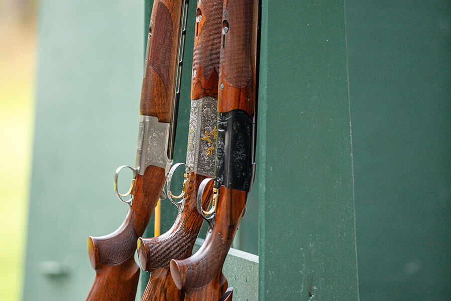 3Dogs_BraysIsland_2025_063_868x600 copy