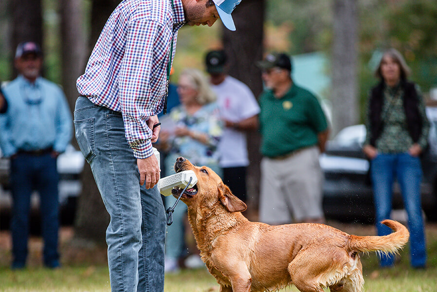 3Dogs_BraysIsland_2025_088_868x600 copy