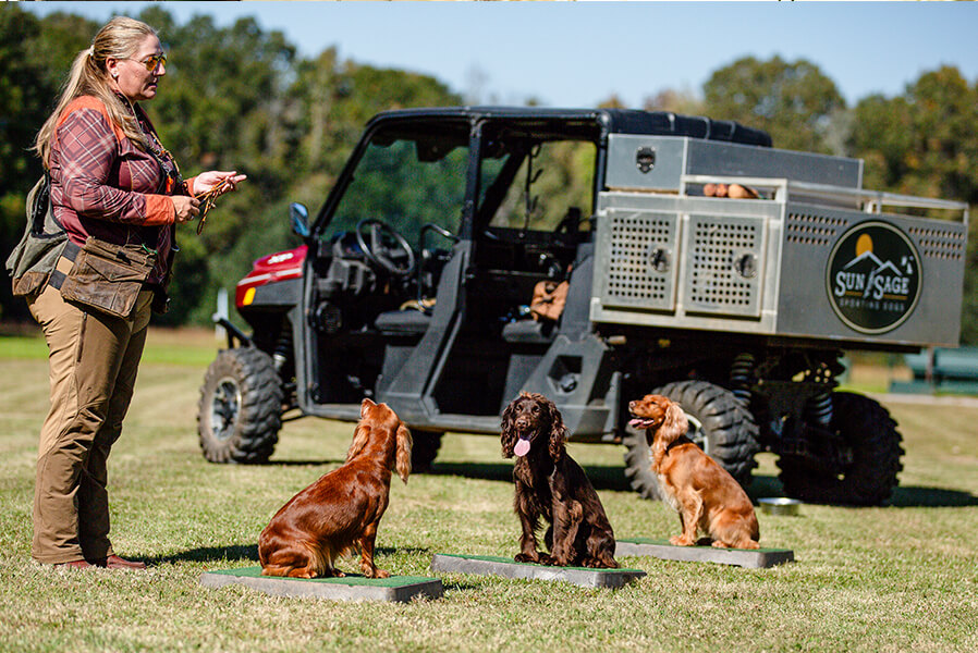 3Dogs_BraysIsland_2025_136_868x600 copy