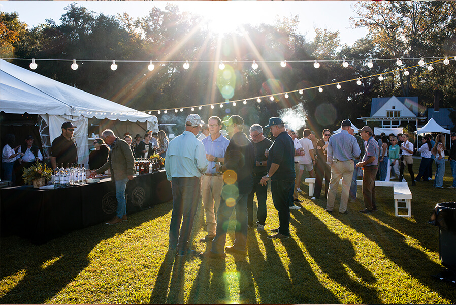 3Dogs_BraysIsland_2025__027_868x600 copy