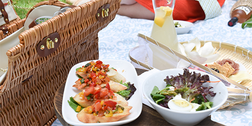 BI_Picnic_500x250